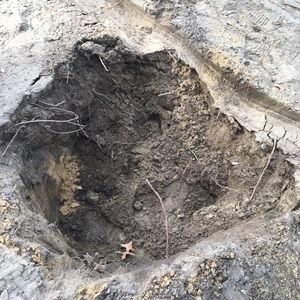 Meet your Posher, Keith